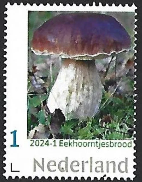 Netherlands 2024-1 Mushroom: Squirrel's Bread MNH