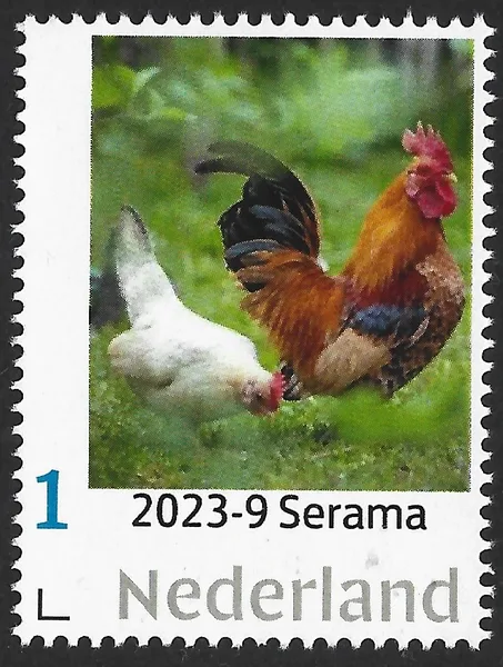 Netherlands 2023-9 Chicken: Serama MNH