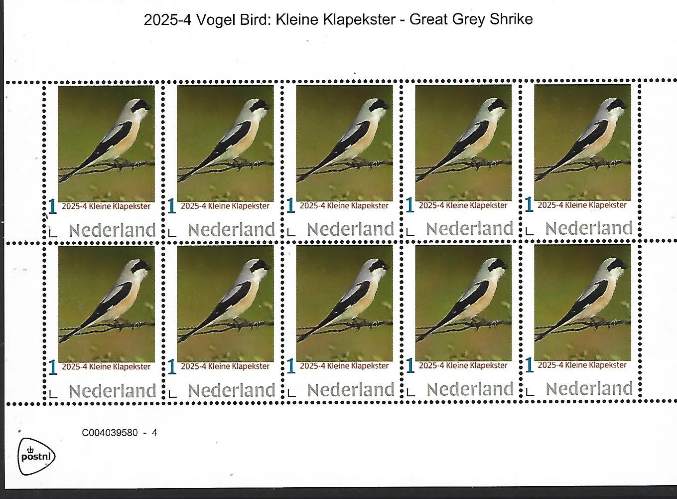 Netherlands 2025-4 bird: Great Spotted Woodpecker sheet MNH