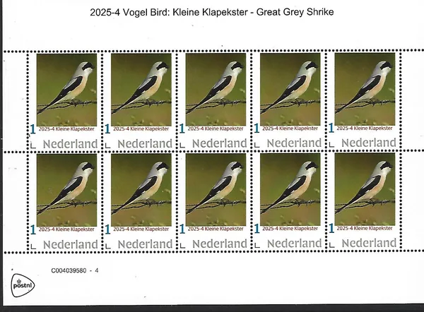 Netherlands 2025-4 bird: Great Spotted Woodpecker sheet MNH
