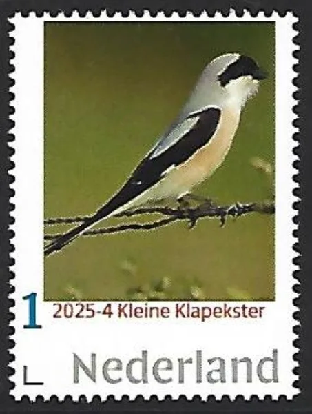 Netherlands 2025-4 vogel birds: Great Spotted Woodpecker MNH