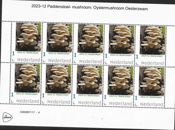 Netherlands 2023-12 Mushrooms Oyster mushroom MNH