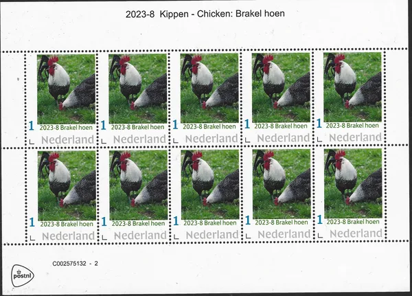 Netherlands 2023-8 Chickens: Brakel hen souvenir sheet MNH