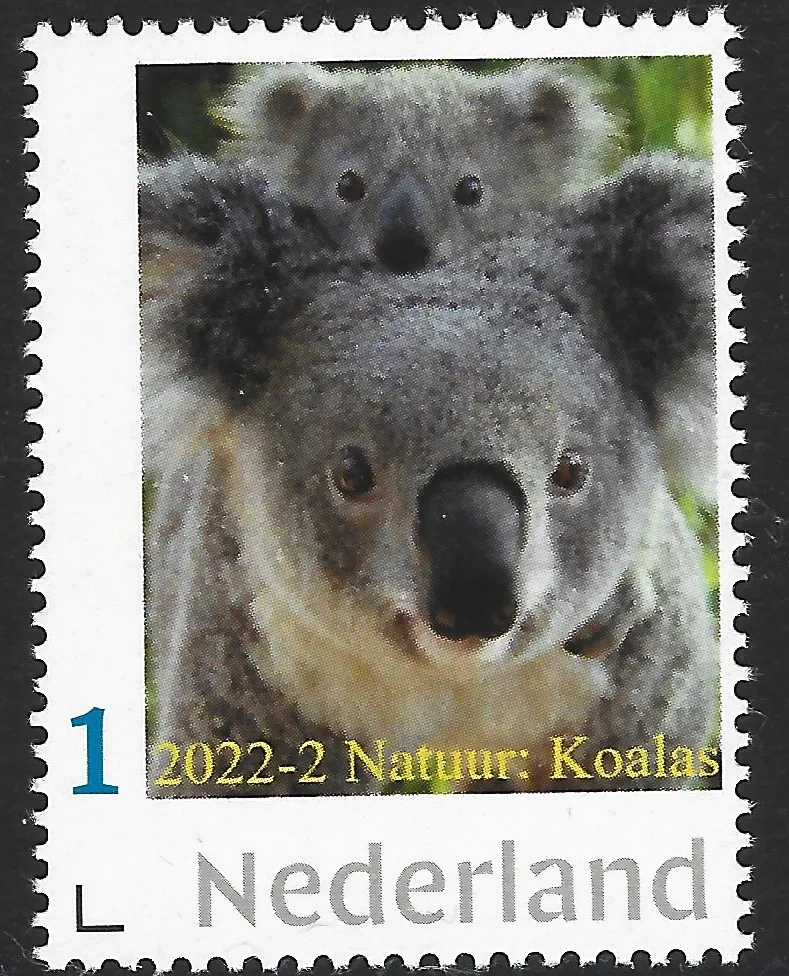Pays-Bas 2022-2 Nature : Koala neuf/mnh