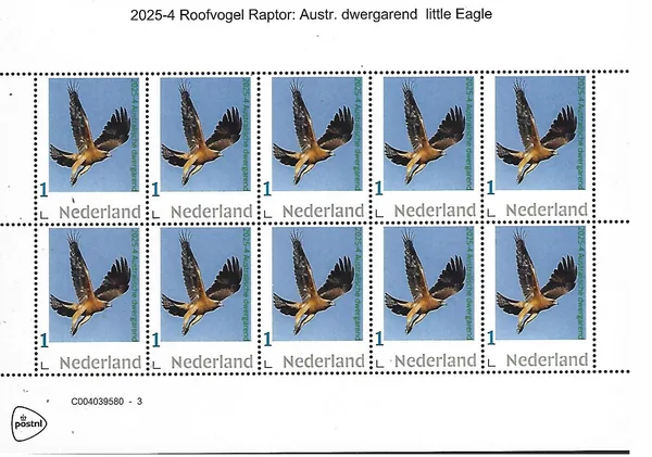 Nederland 2025-4 Raptor birds: Australische Dwergarend Little Eagle sheet postfris/mnh