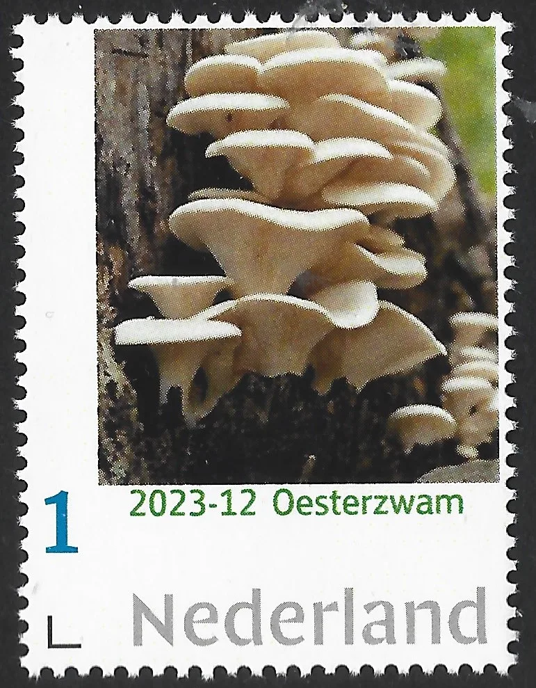 Pays-Bas 2023-12 Champignons Pleurote neuf/mnh