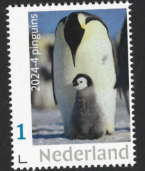 Nederland 2024-4 Pinguin penguin: Keizerspinguin postfris/mnh