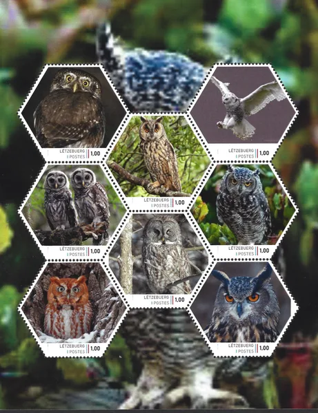 Luxembourg 2023 Owls II Birds sheetlet MNH