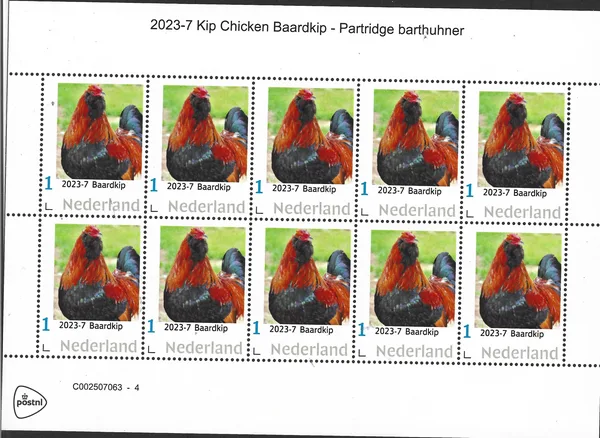 Nederland 2023-7 Kip - Chicken Partridge Barthuhner vel-sheetlet postfris/mnh