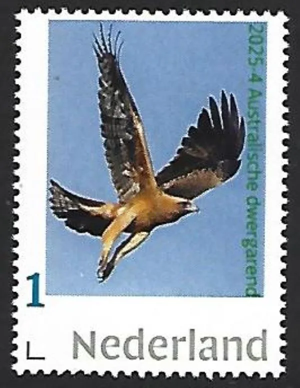 Nederland 2025-4 Raptor birds: Australische Dwergarend Little Eagle postfris/mnh