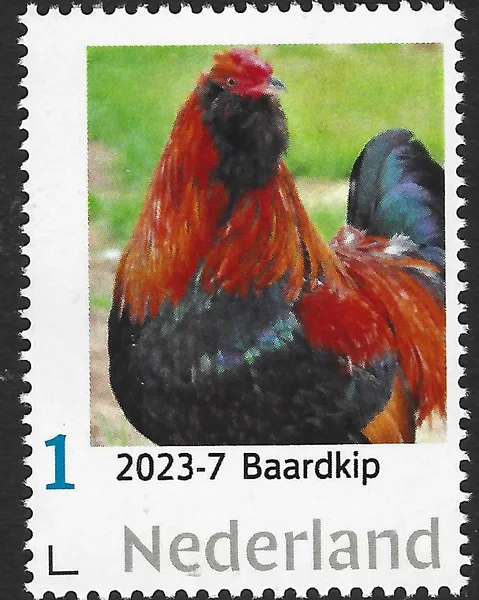 Nederland 2023-7 Kip chicken; Baardkip Partridge Barthuner postfris/mnh