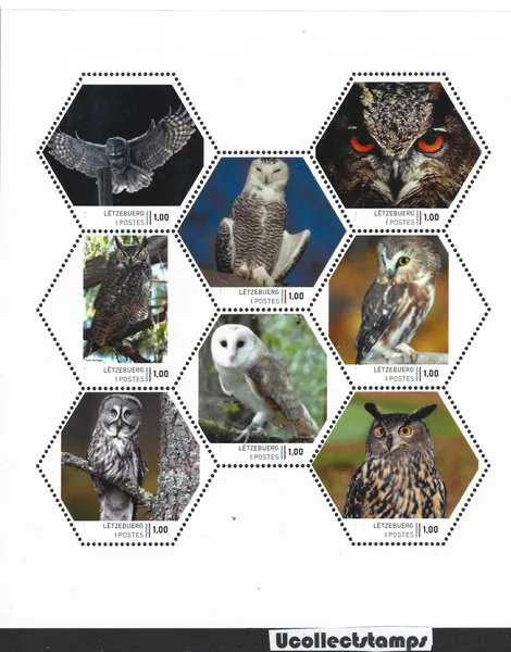 Luxemburg 2023 Uilen 1 Owl vel-sheetlet postfris/mnh