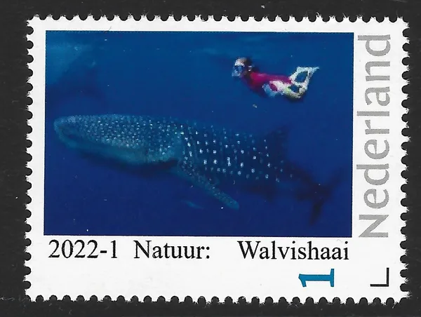 Nederland 2022-1 Natuur: Walvishaai Whale Shark postfris/mnh