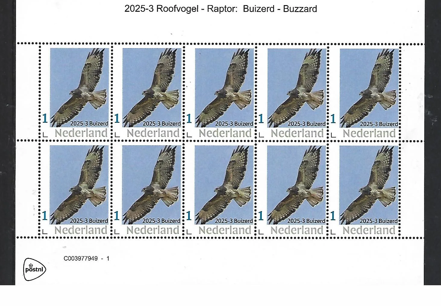 Netherlands 2025-3 Raptor: Buzzard sheetlet MNH