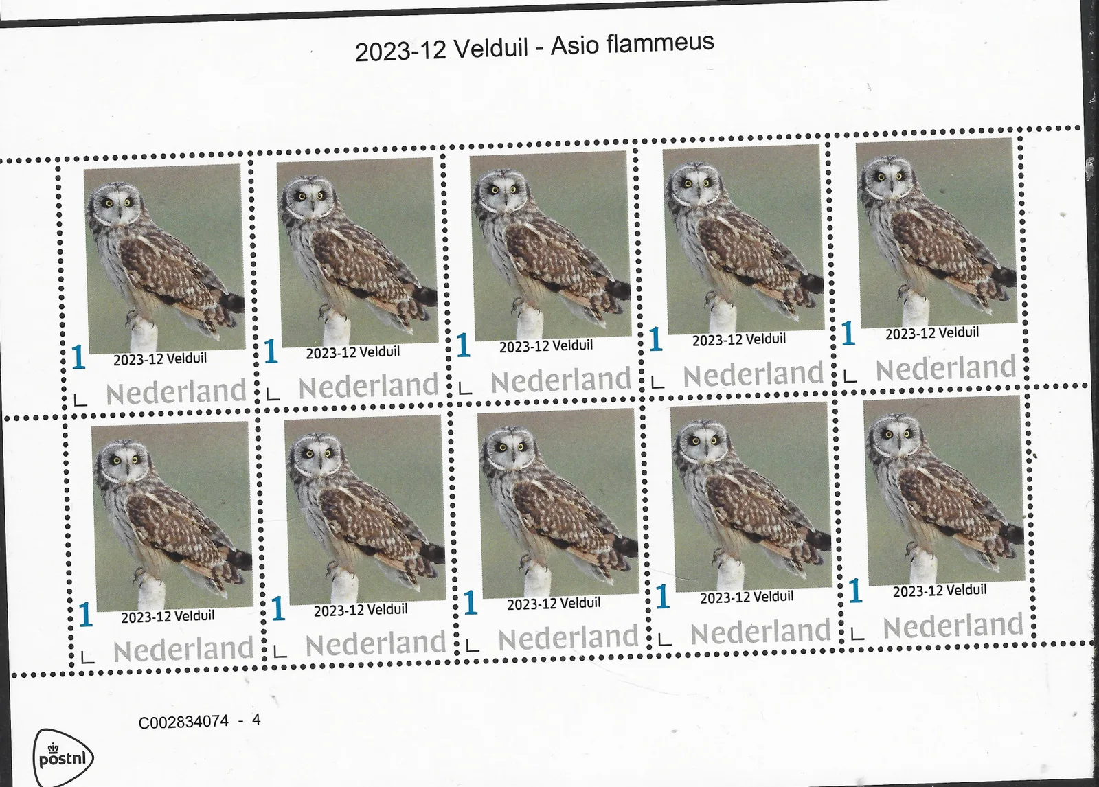 Niederlande 2023-12 Eulen: Sumpfohreule Asio Flammeus vel-sheetlet postfrisch/mnh