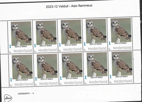 Netherlands 2023-12 Owls: Barn Owl Asio Flammsueus vel-sheetlet MNH