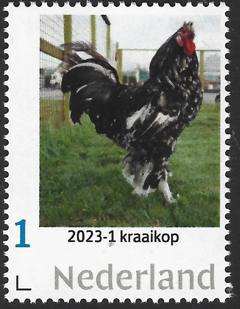 Pays-Bas 2023-6 Poule - chicken: Kraaikop neuf/mnh