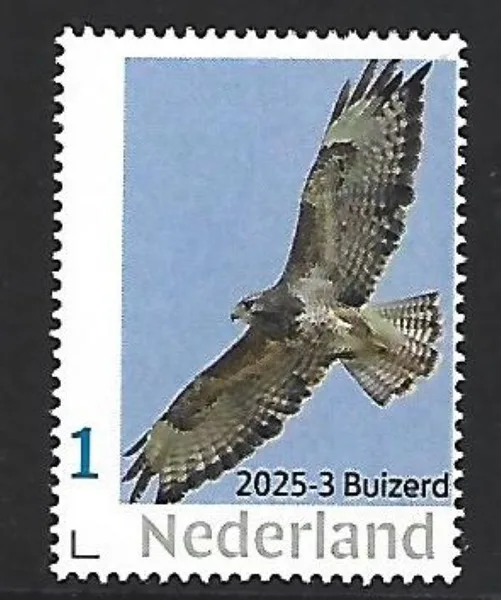 Netherlands 2025-3 Raptor: Buzzard MNH