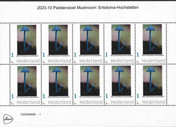 Netherlands 2023-10 Mushrooms Entoloma-Hochstetteri sheetlet MNH