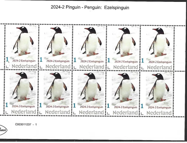Nederland 2024-2 Pinguin Penguin: Ezelspinguin sheetlet postfris/mnh