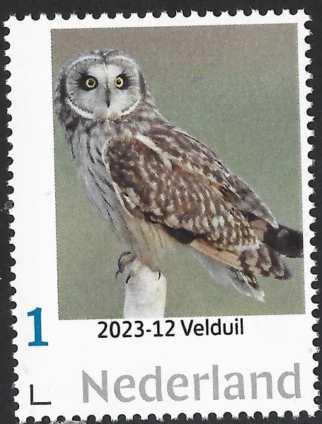 Nederland 2023-12 Uilen - Owls: Velduil Asio Flammeus postfris/mnh