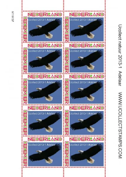 Nederland 2013 Ucollect Natuur 2013-1 Adelaar Eagle Adler velletje/sheetlet van 10 postfris/mnh