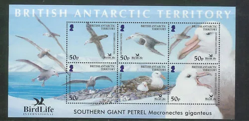 British Antarctica 391-396 block 12 Birdlife International block/ms 2005