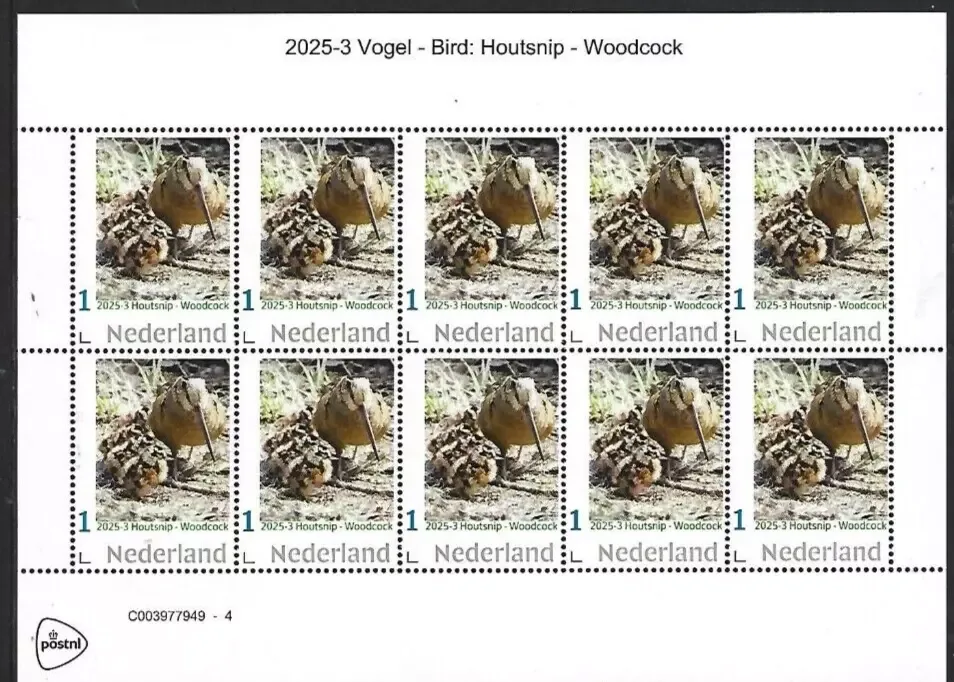 Nederland 2025-3 Vogel Bird: Houtsnip Woodcock sheetlet postfris/mnh