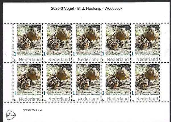 Netherlands 2025-3 Bird: Woodcock sheetlet MNH