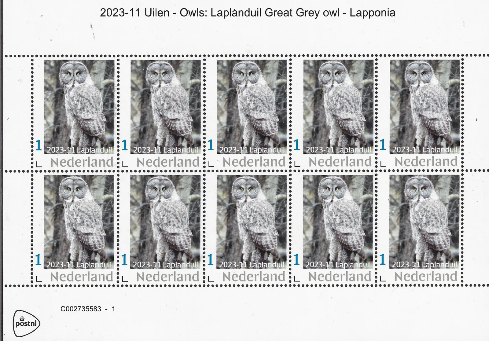 Niederlande 2023-11 Eulen - Eulen: Lapplandeule Bartkauz Vel-Blockformat postfrisch/mnh