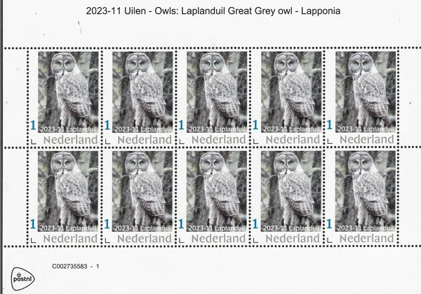 Netherlands 2023-11 Owls: Great Grey Owl sheet-let MNH