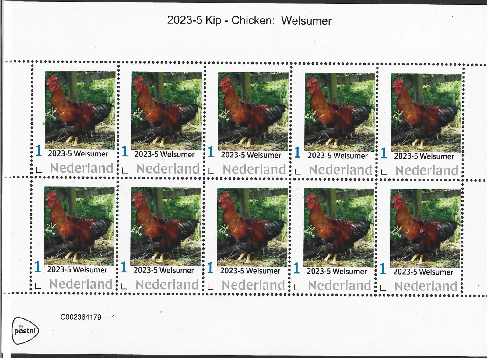 Pays-Bas 2023-5 Poule - chicken : Welsumer feuillet-vignette neuf/mnh