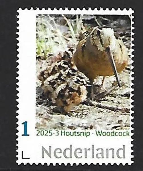 Netherlands 2025-3 Bird: Woodcock MNH