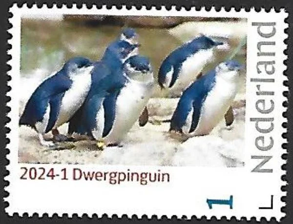 Nederland 2024-1 Pinguin Penguin: Dwergpinguin postfris/mnh