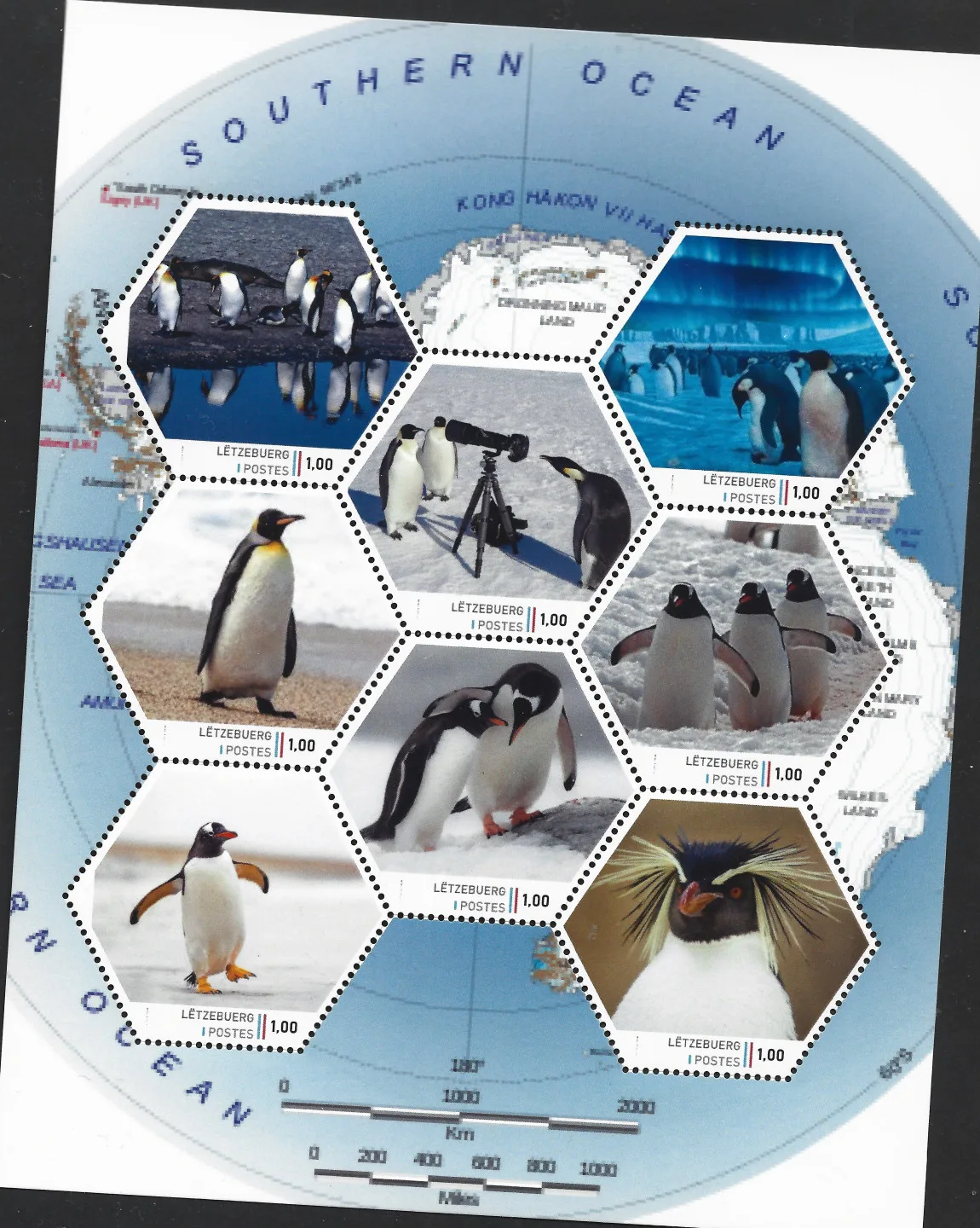 Luxembourg 2023 Antarctica penguins sheetlet 2 MNH