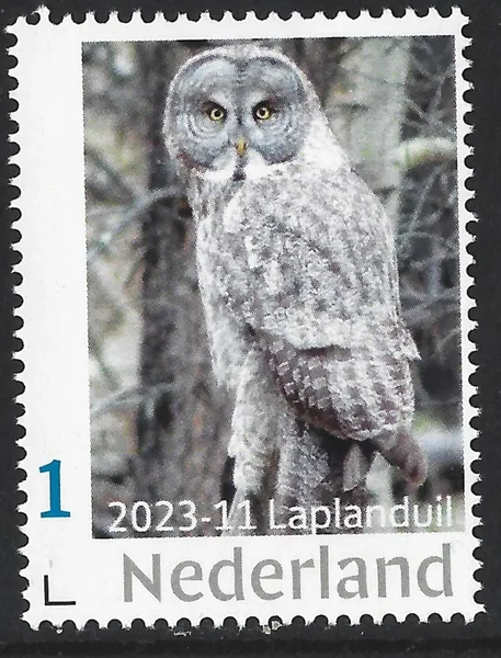 Nederland 2023-11 Uilen - Owls: Laplanduil Great Grey Owl postfris/mnh