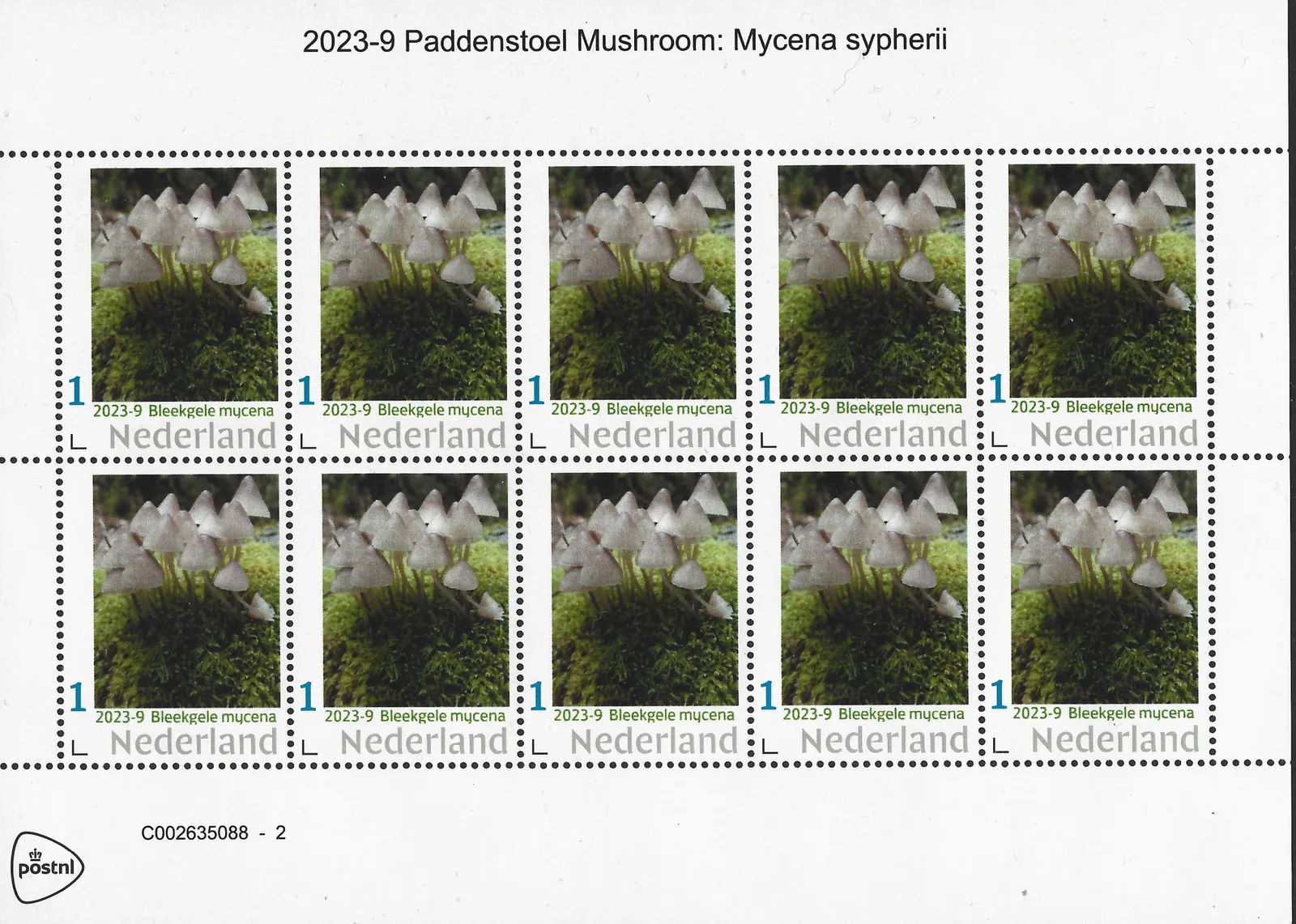 Pays-Bas 2023-9 Champignon Mushroom: Mycena sypheria vel-sheelet neuf/mnh