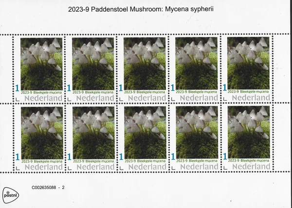 Netherlands 2023-9 Mushroom: Pale Yellow Mycena sypheria vel-sheelet MNH