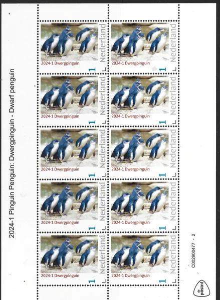 Netherlands 2024-1 Pinguin Penguin: Dwergpinguin sheetlet MNH