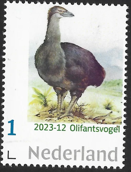 Netherlands 2023-12 Elephant Bird MNH