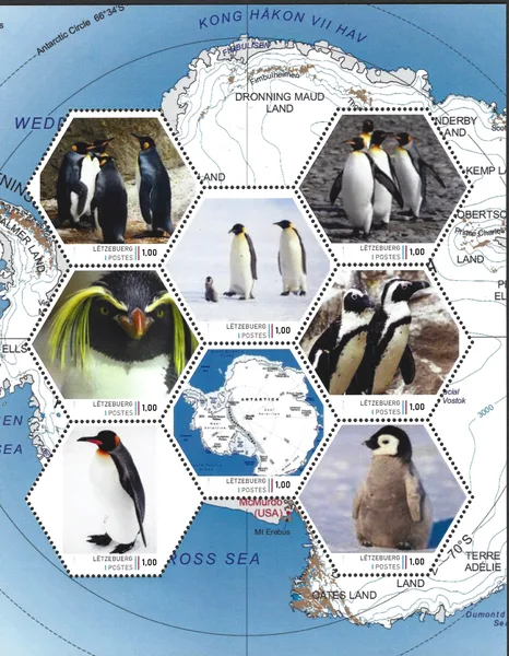 Luxemburg 2023 Anarctic 1 Pinguins Penguins vel-sheetlet postfris/mnh