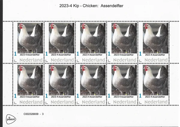 Nederland 2023-4 Uilen - owls Assendelfter vel-sheetet postfris/mnh