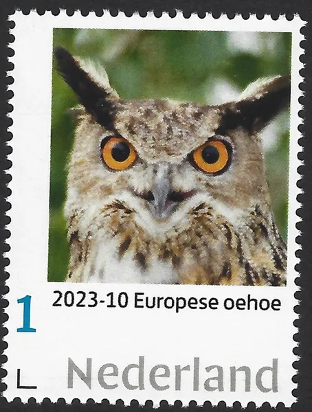 Nederland 2023-10 Uilen - Owls: Laplanduil Great Grey Owl postfris/mnh