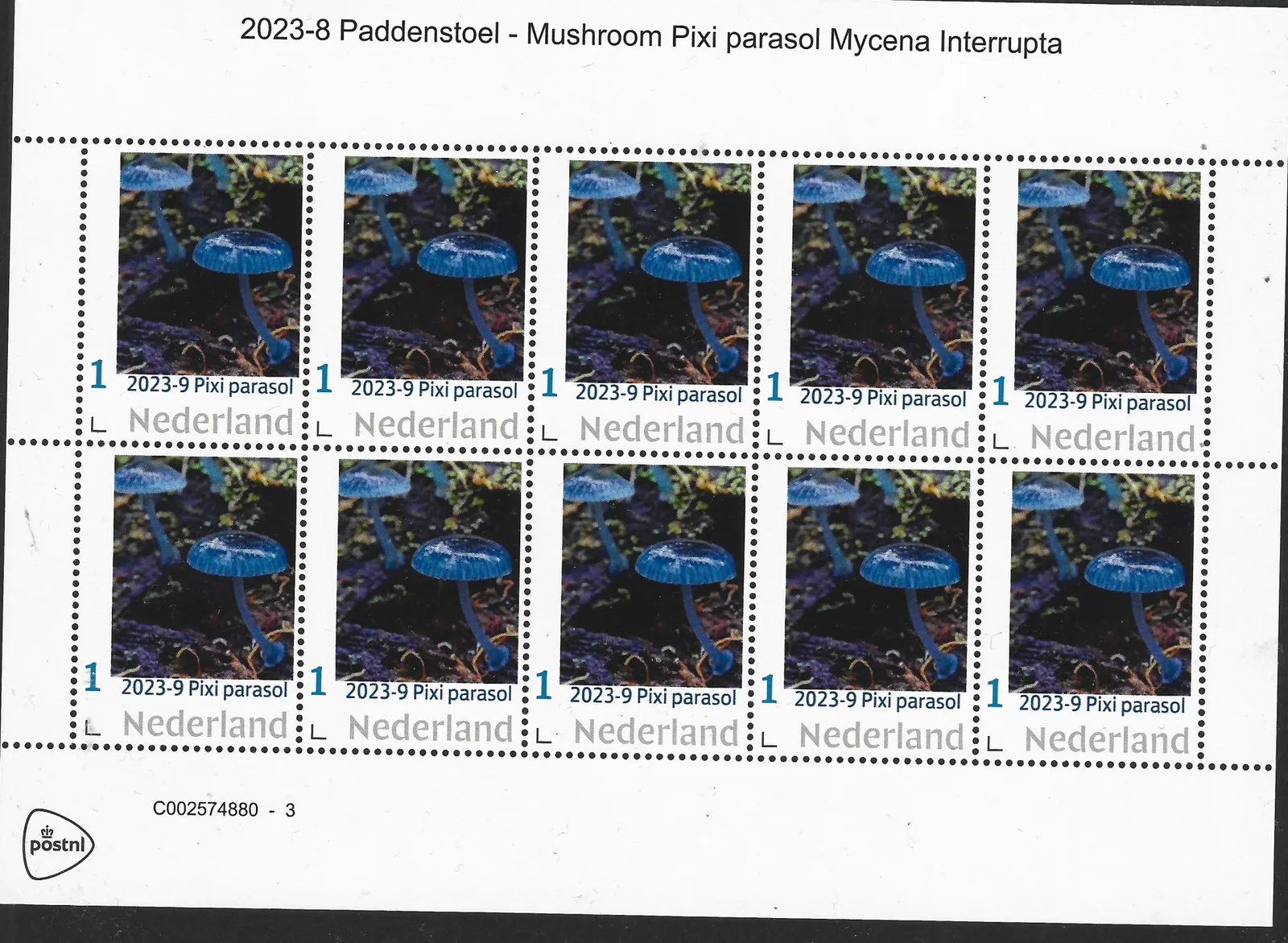 Niederlande 2023-8 Pilz mushroom Pixi parasol Mycena Interrupta vel-sheetlet postfrisch/mnh