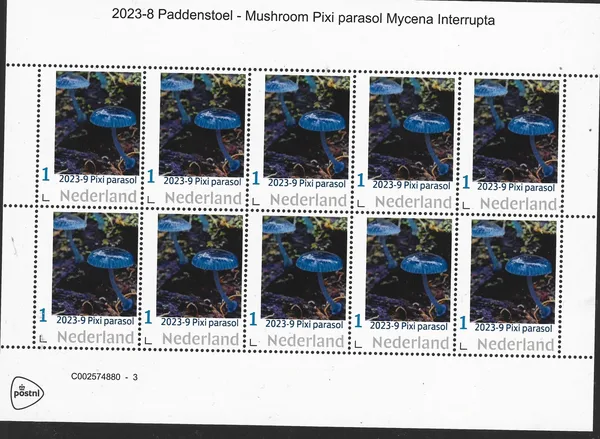 Netherlands 2023-8 Mushroom Pixi parasol Mycena Interrupta vel-sheetlet MNH