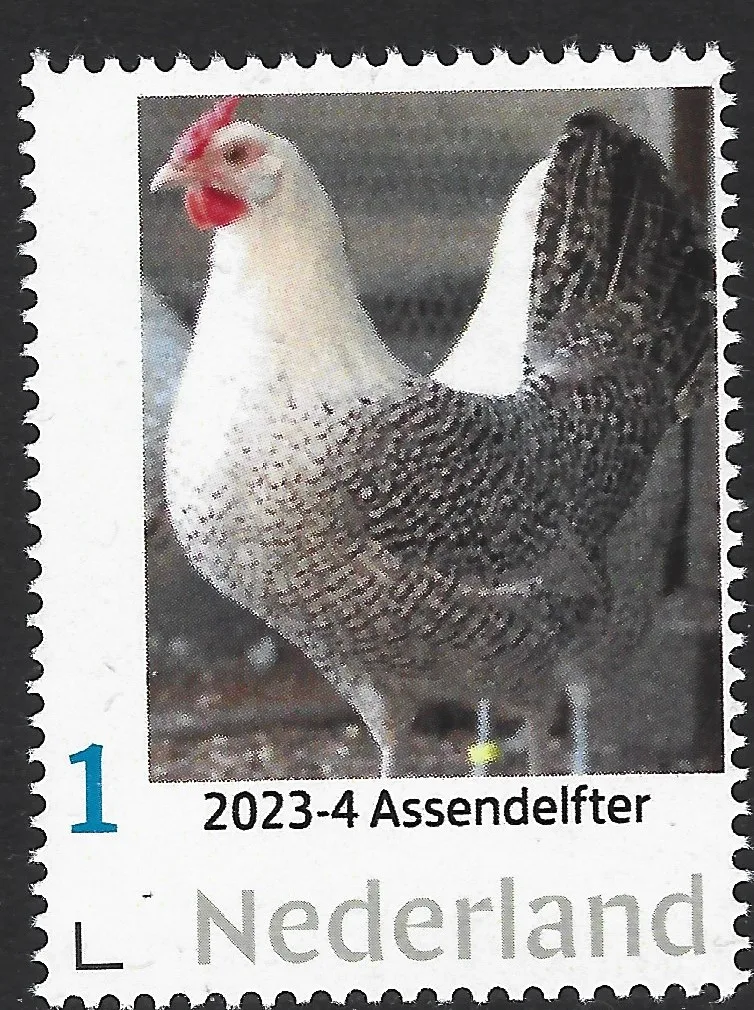 Pays-Bas 2023-4 Hiboux postfris/mnh