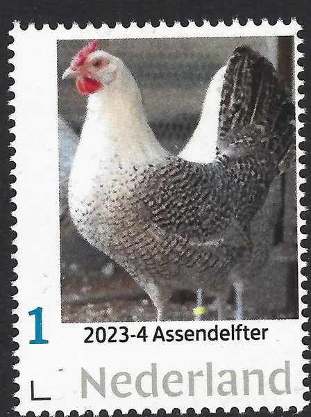 Netherlands 2023-4 Owls Assendelfter MNH