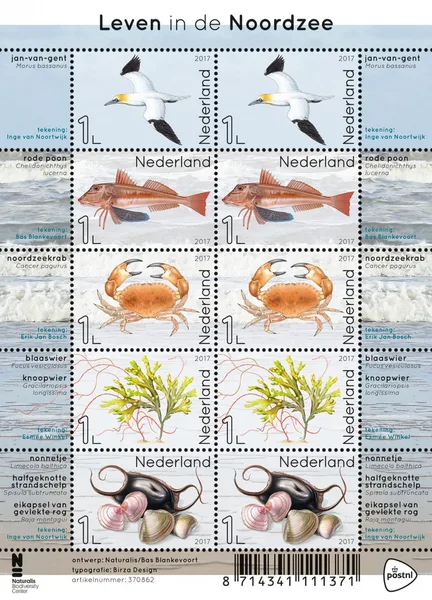 NEDERLAND V3550-3554 Leven in de Noorzee velletje-sheetlet 2017 postfris-mnh