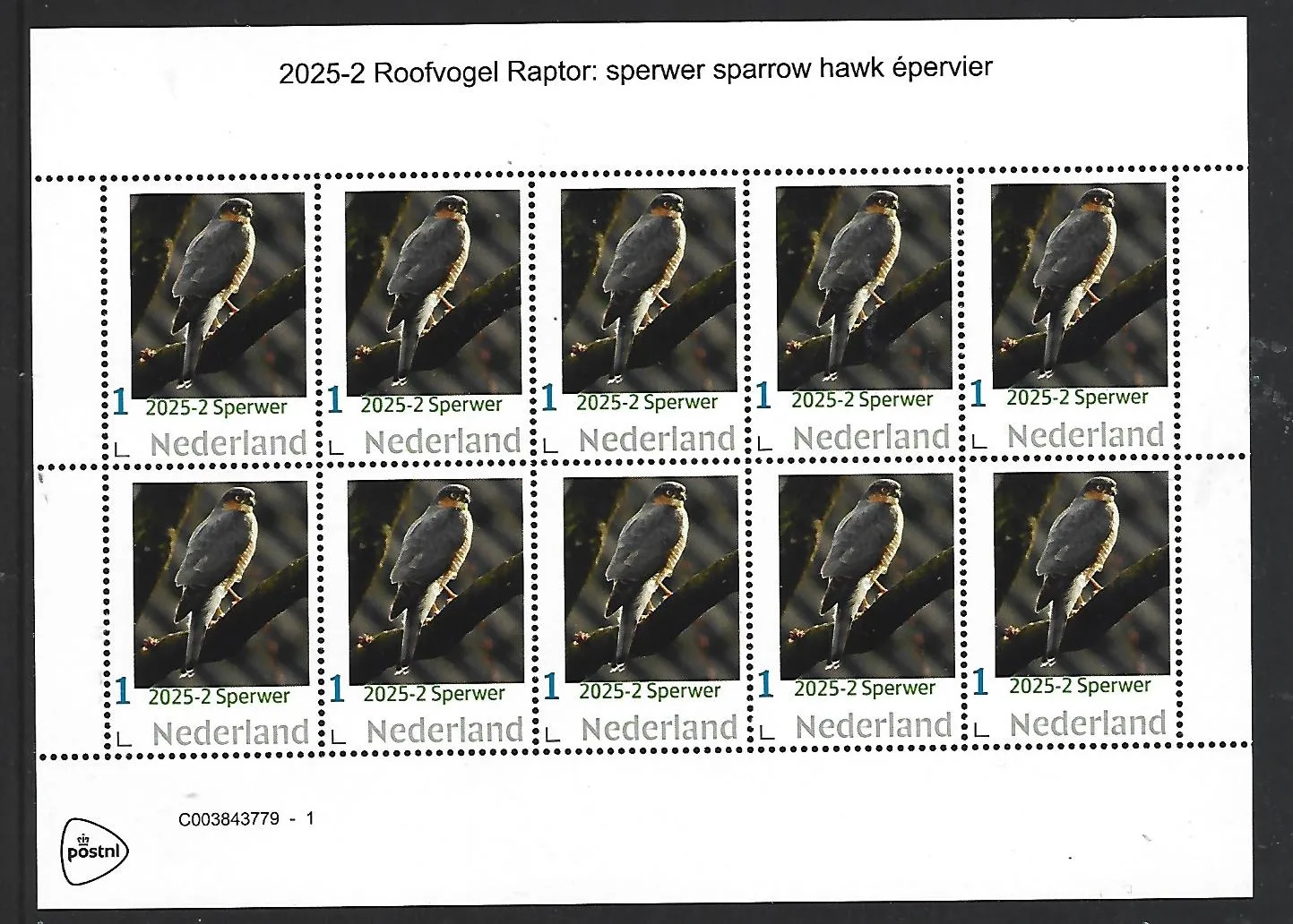 Netherlands 2025-2 Raptor: Eurasian Sparrowhawk sheetlet MNH