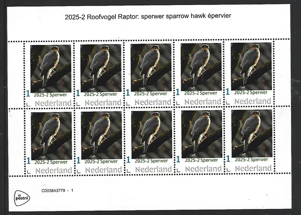 Nederland 2025-2 Roofvogel Raptor: Sperwer Sparrow hawk sheetlet postfris/mnhent